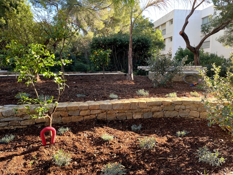 Création d'un jardin complet à la Seyne sur Mer 